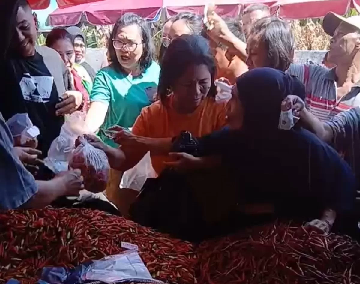 YSK Intervensi Harga Rica atau Cabai Rawit di Pasar Manado, Warga angsung Serbu (istimewa)