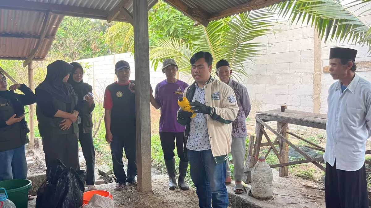 Foto : Mahasiswa KKN Kelompok 174 menggelar kegiatan sosialisasi pengolahan limbah kotoran sapi menjadi pupuk organik pada Sabtu (8/8/2026).