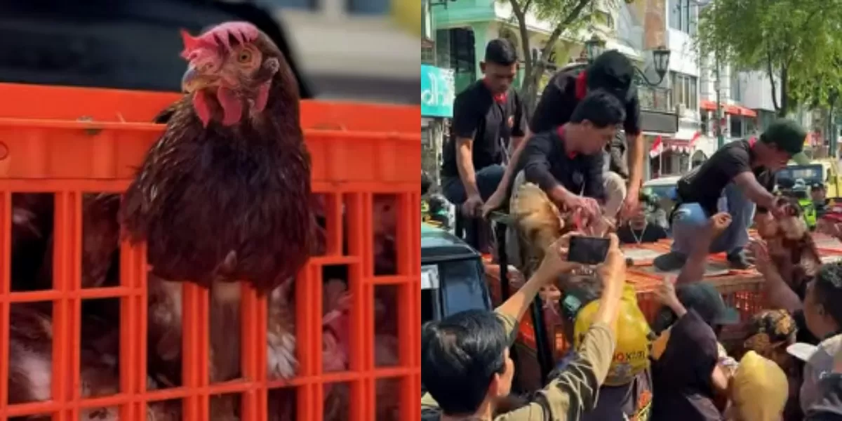 Menyoroti aksi protes peternak ayam di Yogyakarta ihwal anjloknya harga telur hingga tingginya biaya pakan. (Instagram.com/@dprd_diy)