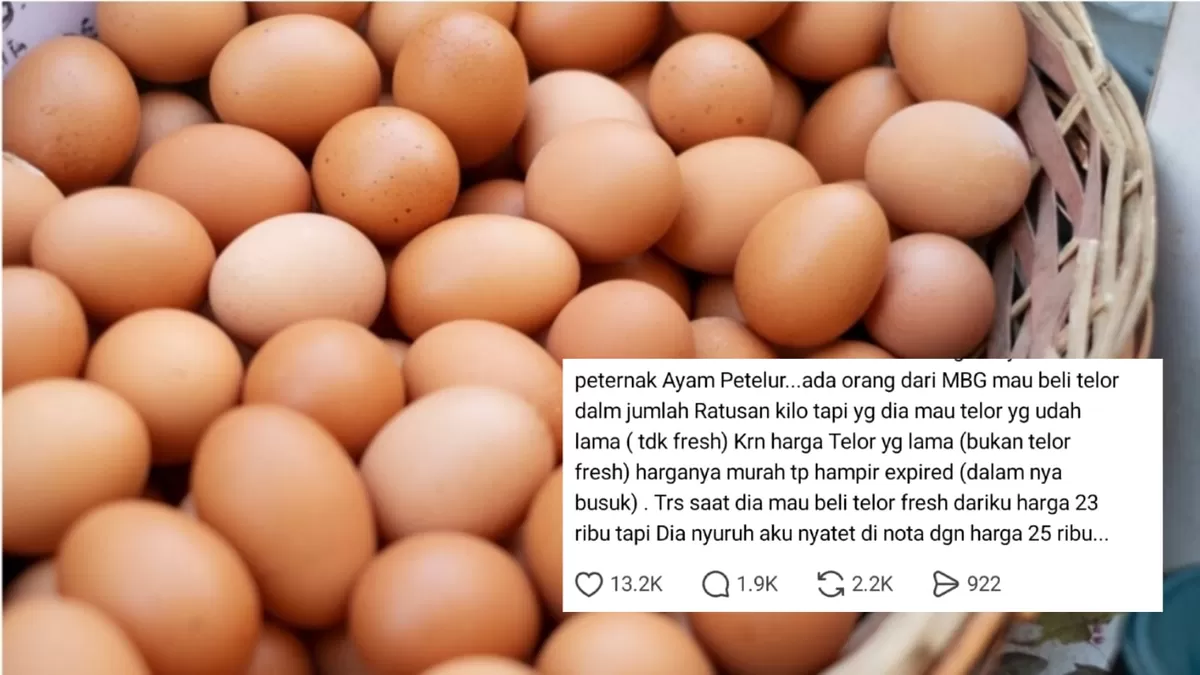 Viral curhatan peternak ayam petelur yang diajak kerja sama dapur MBG untuk memasok telur lama dan manipulasi harga nota. (Magnific/magnific - Threads/rissaayu90)