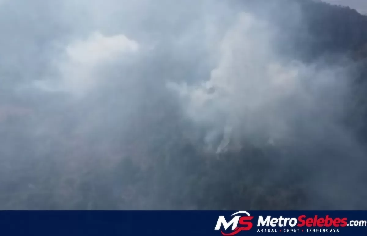 FOTO: Tampak Karhutla Maros, terdapat kawasan karst Maros-Pangkep yang menyimpan warisan lukisan gua prasejarah yang perlu dilindungi dari ancaman kebakaran hutan dan lahan. (Dok.Metroselebes.com/Ramli)