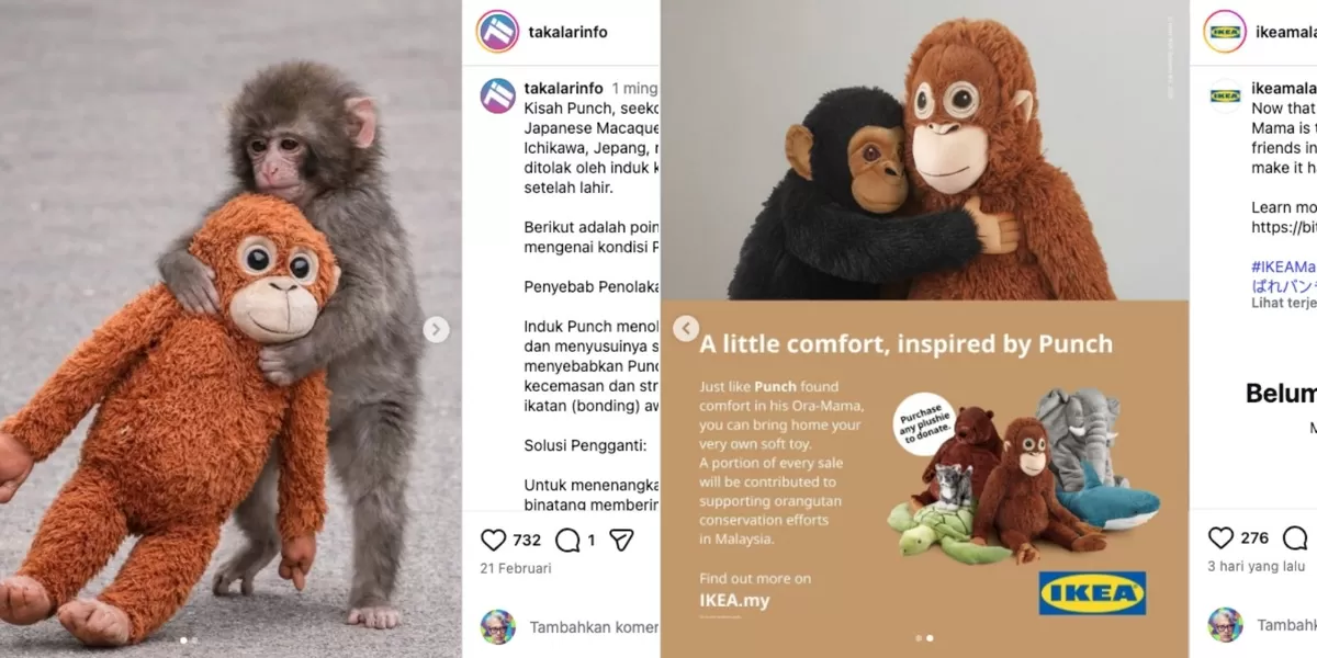 Belajar emotional marketing dari IKEA dan kisah Punch si makaka Jepang.  (Screenshoot IG @ikeamalaysia dan IG @takalarinfo)