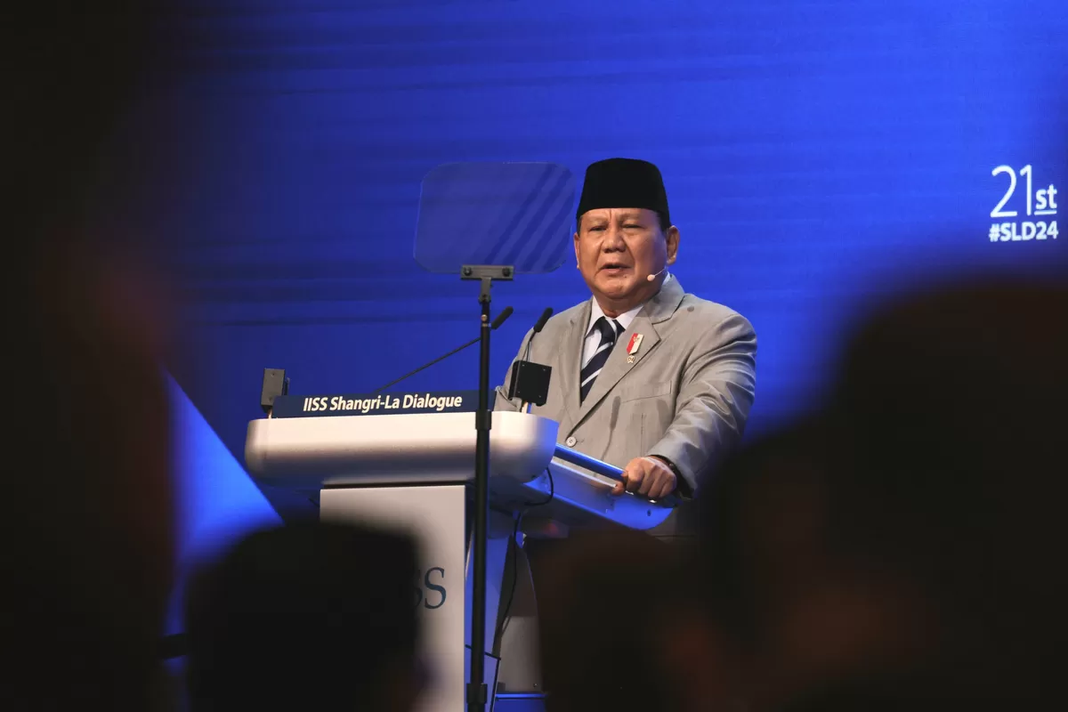 Dari Menhan ke Presiden, Jejak Diplomasi Prabowo Membela Kedaulatan Palestina (dok. istimewa)