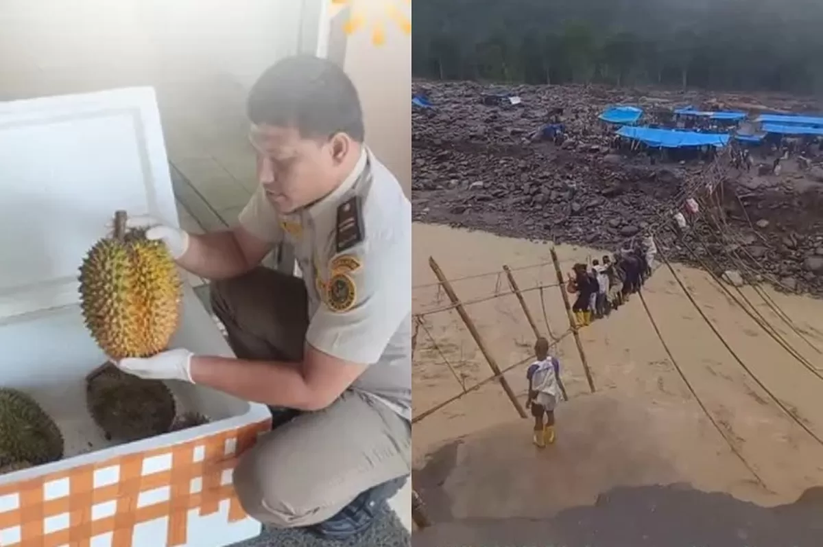 Menyoroti cerita tentang jerih payah petani buah durian ketol asal Aceh yang terdampak bencana banjir bandang. (Instagram.com / @karantinaaceh - @sherlyannavita)