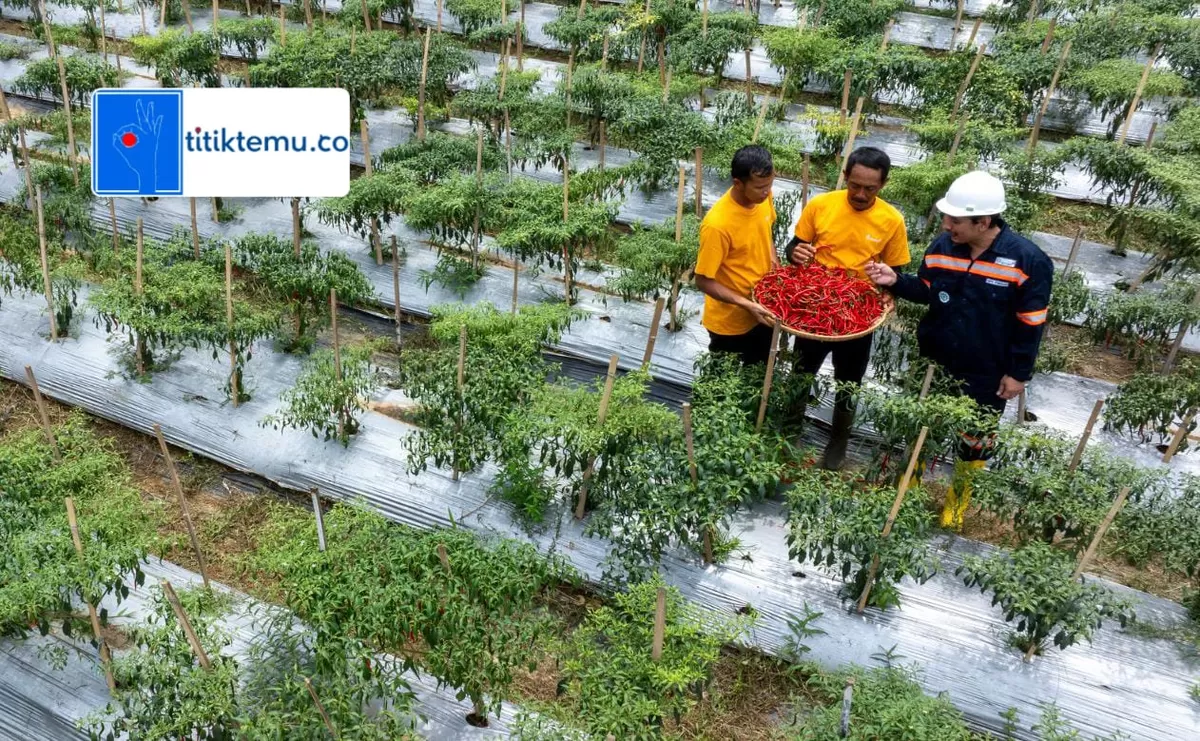 Program Garitan Kalongliud, Strategis ANTAM Memperkuat Kesejahteran Sosial dan Ekonomi di Pongkor (BRI)