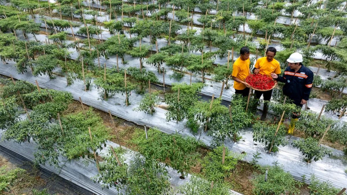 Hasil kerja bersama masyarakat Pongkor