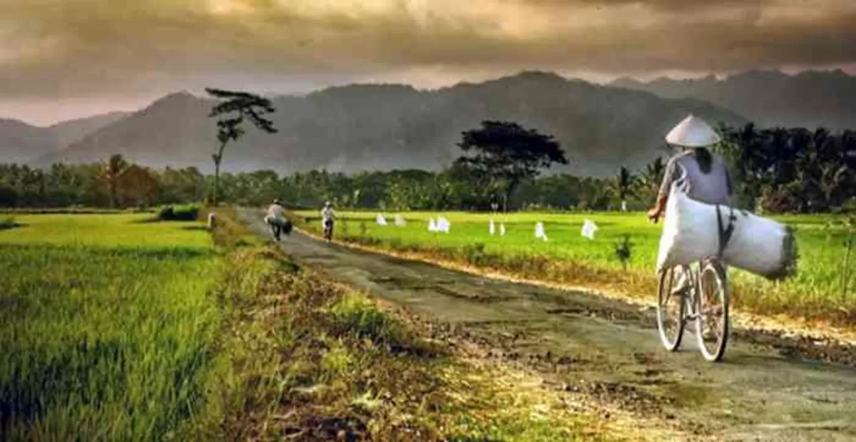 Slow Living di Desa, Nasehat untuk Orang Kota: Desa Mawa Cara, Negara Mawa Tata. (Kemenkeu.g.id)