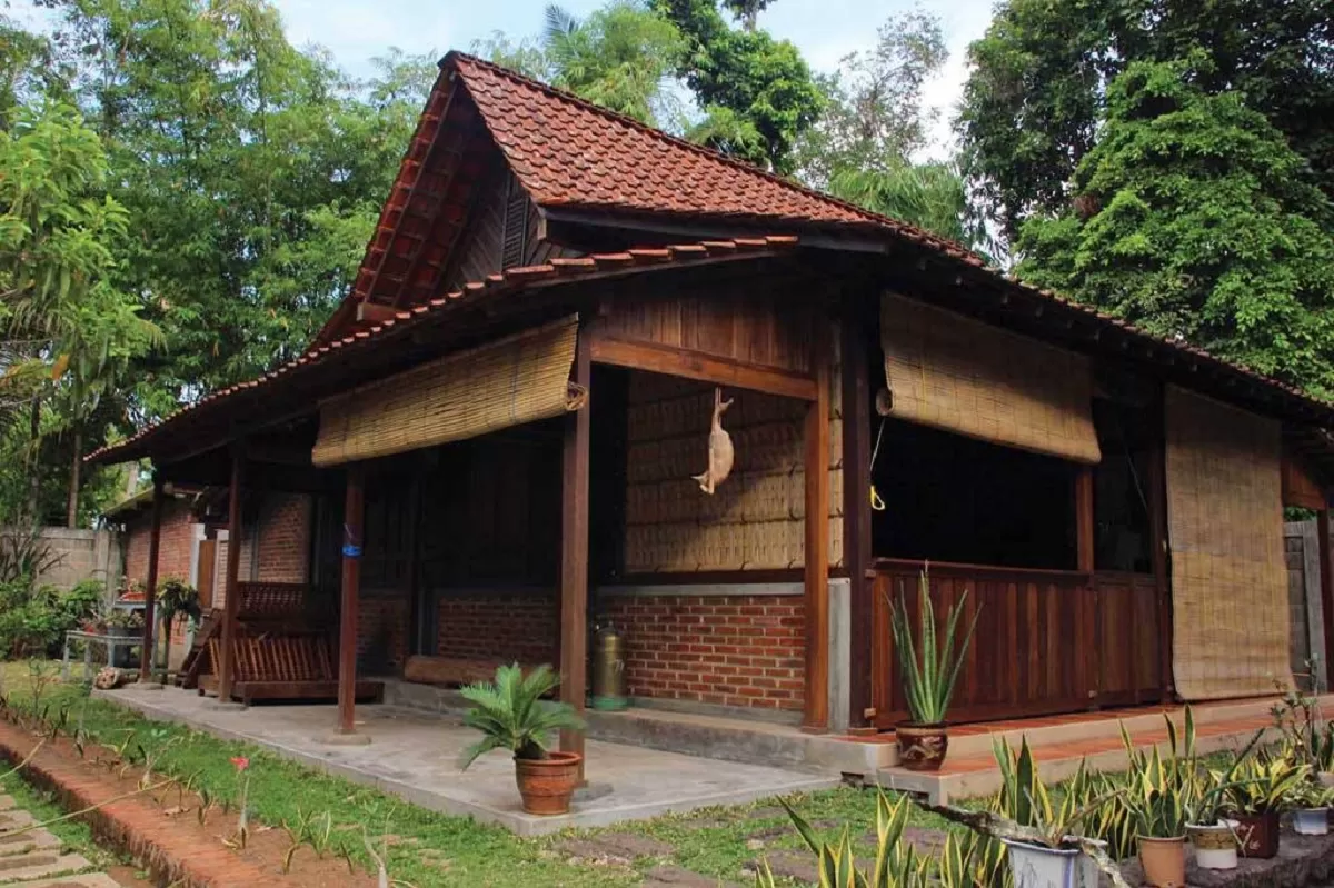 Asal Usul Suku Osing Banyuwangi Ini Sejarahnya
