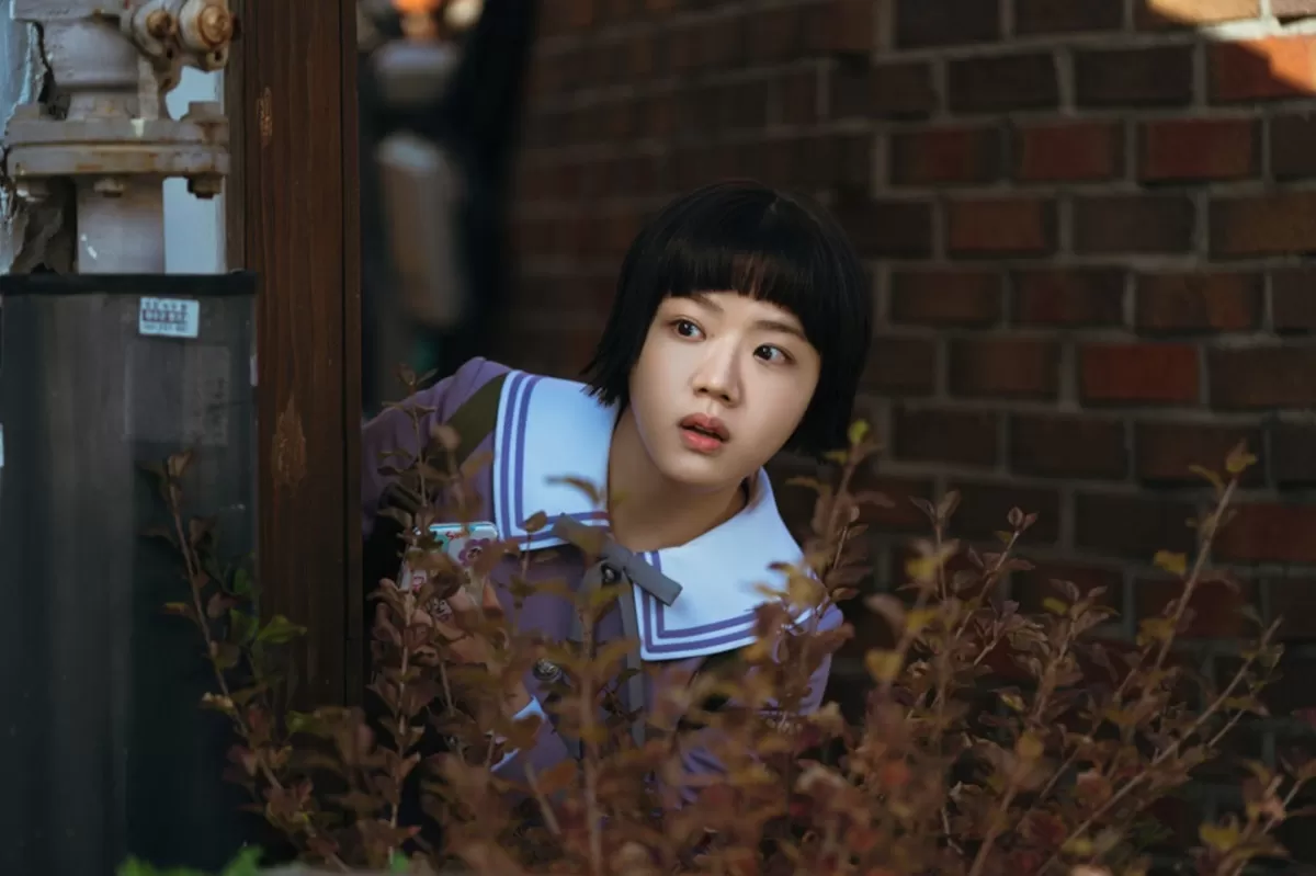 Drakor Absolute Value of Romance Episode 1-14 Sub Indo, Jadwal Tayang dan Link Nonton. (My Dramalist)