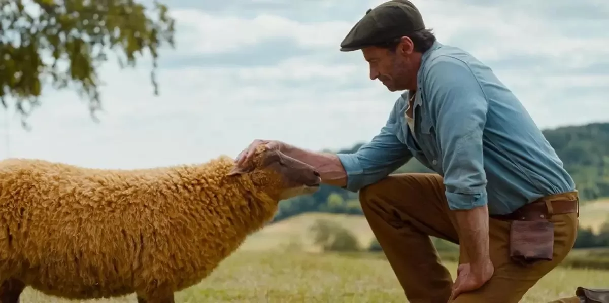 Hugh Jackman Comeback Lewat Film Komedi Misteri The Sheep Detectives. ( Metro-Goldwyn-Mayer Pictures)