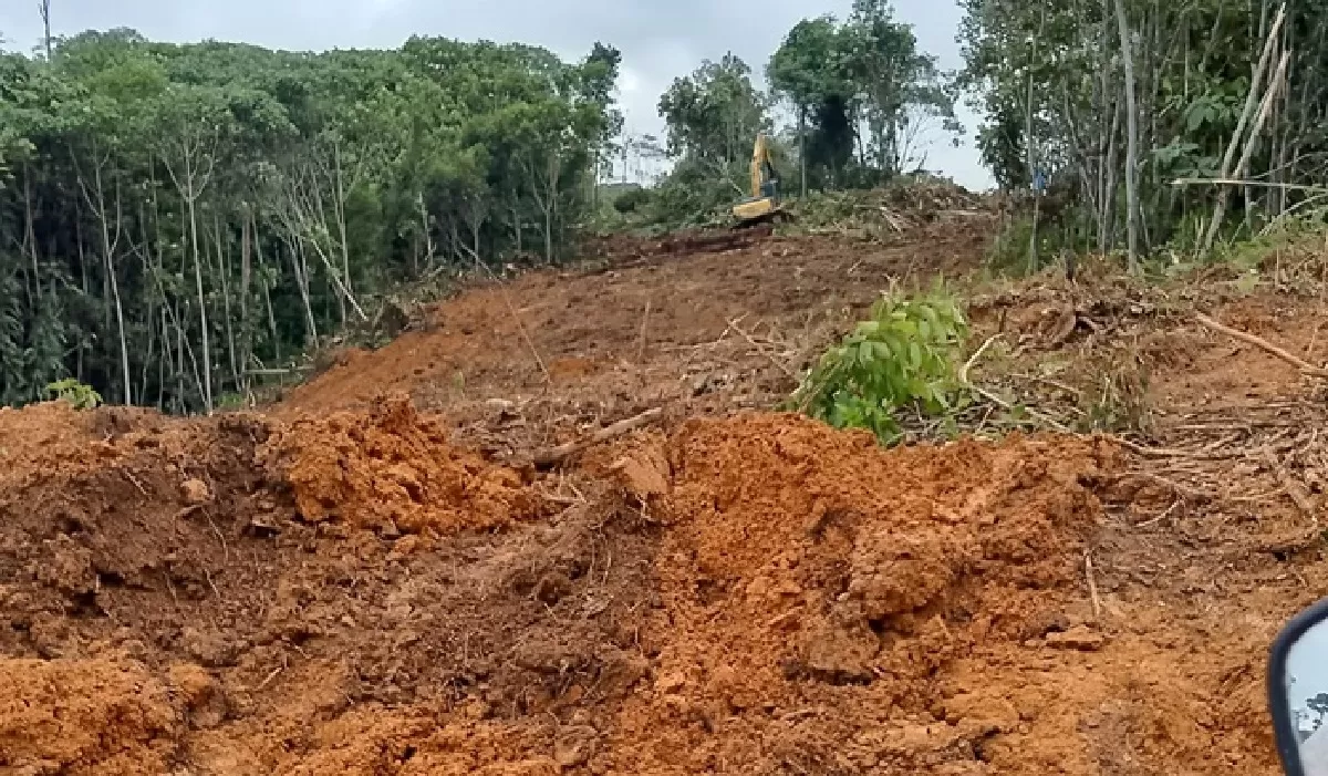PT TIS Kubar Kaltim Milik Siapa? Profil Perusahaan Tambang Batu Bara Kutai Barat, Kalimantan Timur dan Pemiliknya