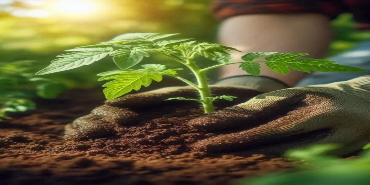 Ilustrasi Tren plant-based di Indonesia: gaya hidup sehat, (Desain AI)