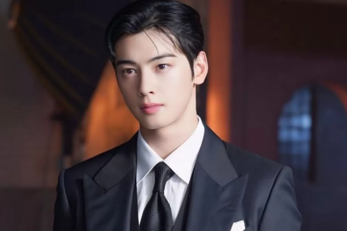 Seorang Pengecara Berpendapat Bahwa Tindakan Cha Eunwoo ASTRO Dapat Dianggap Sebagai Penggelepan Pajak