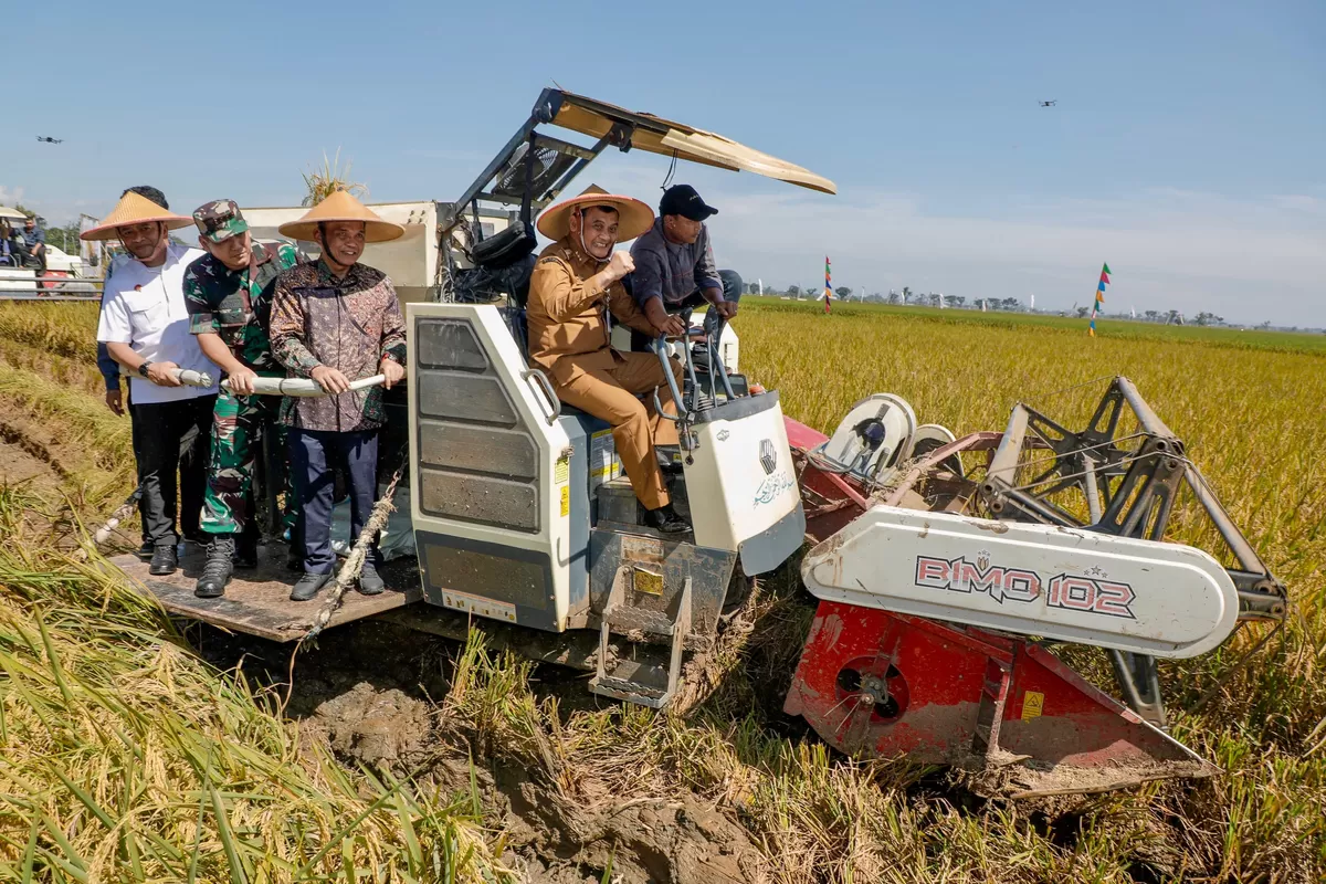 Target Pangan Nasional Terpenuhi, Jateng Siap Jadi Andalan