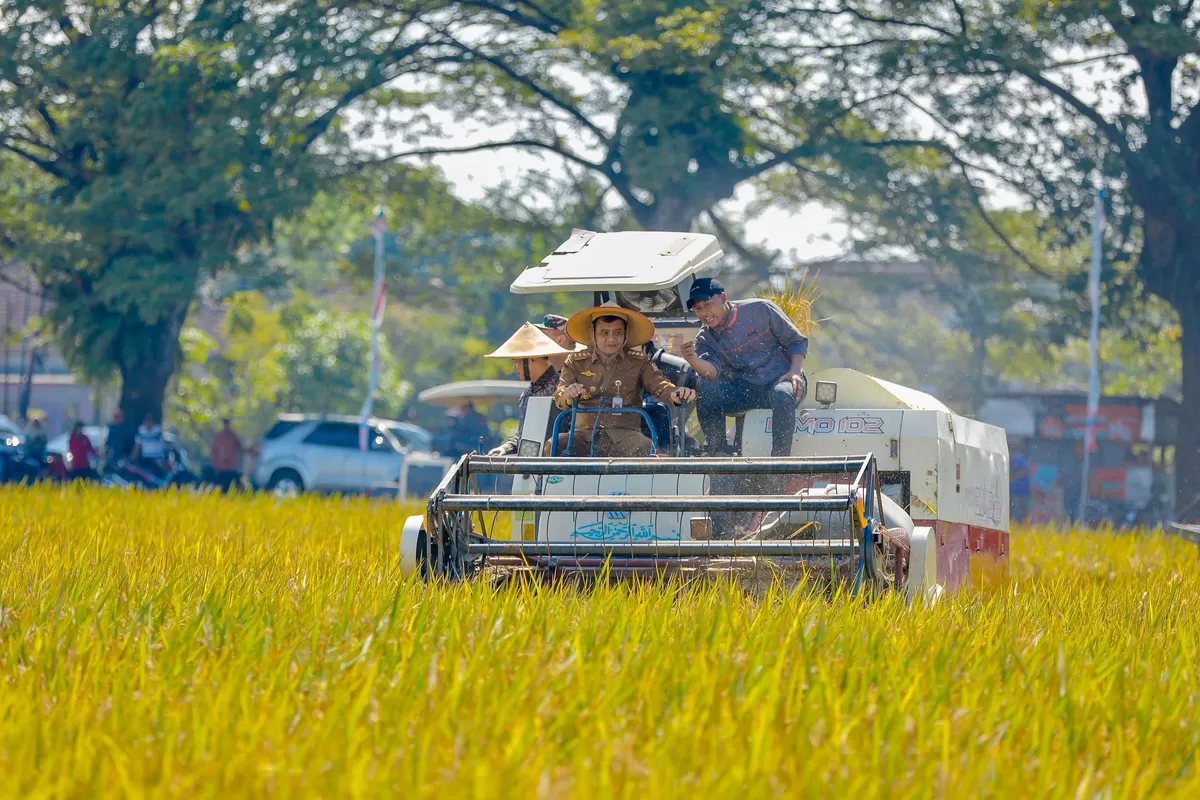 Insentif PBB hingga Sanksi Pidana, Cara Jateng Amankan Lumbung Pangannya