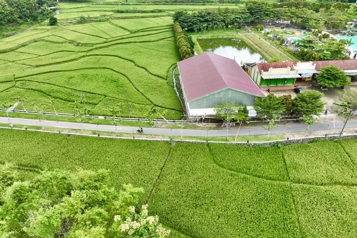 Dari Tertinggal ke Mandiri, Kaliwedi dan Jatibatur Sragen Tunjukkan Lompatan Desa