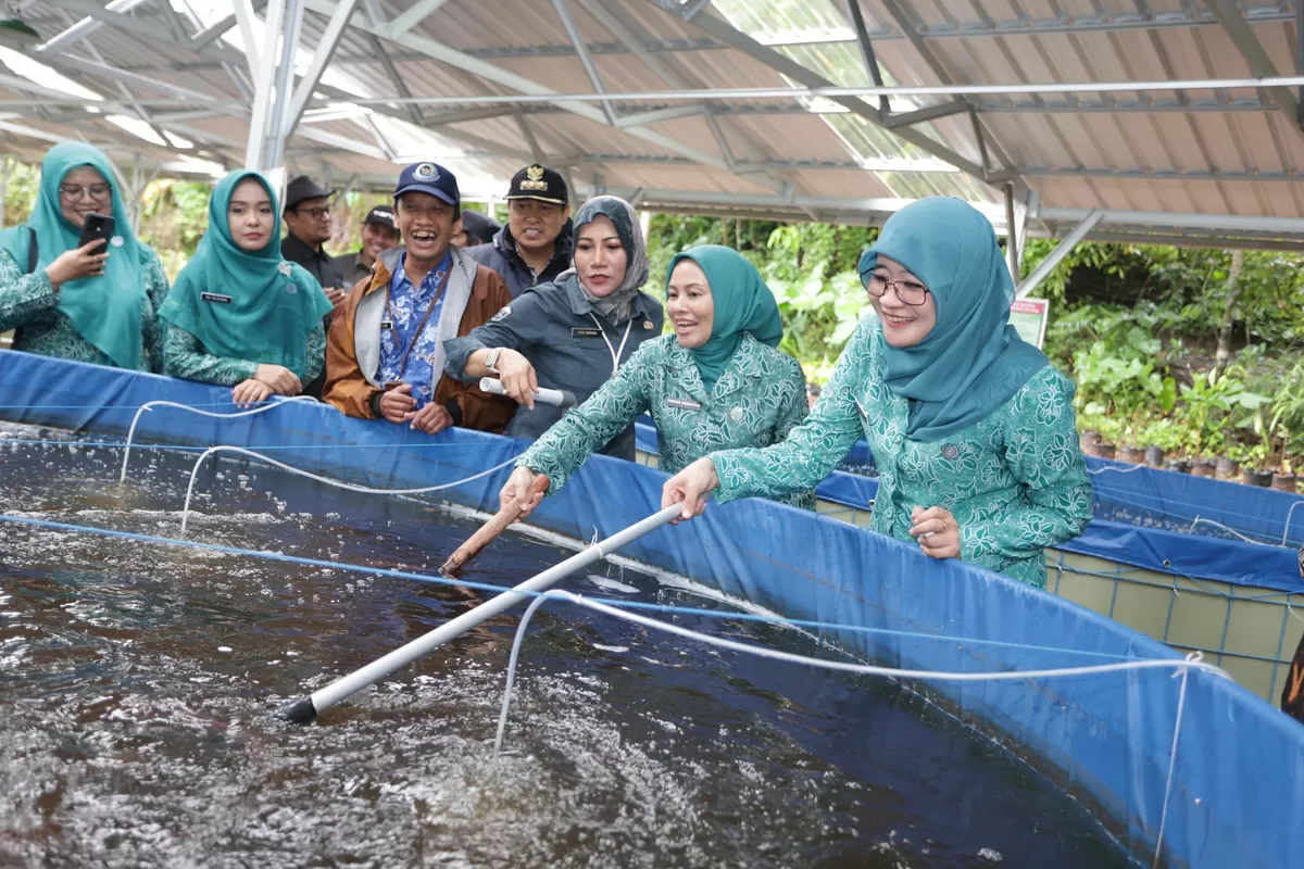 Tinjau Peternakan Ayam di Kudus, Nawal Yasin Dorong Ketahanan Pangan Berbasis Keluarga