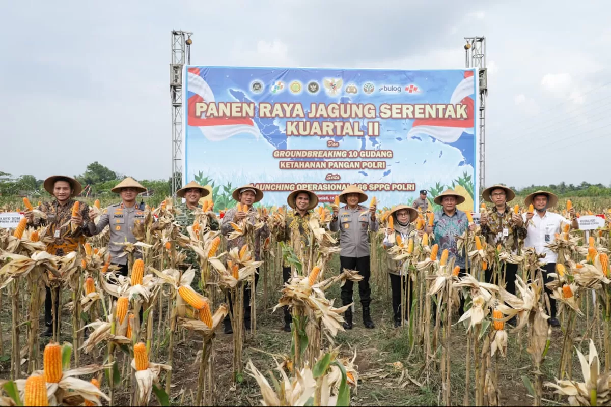 Panen Raya Jagung Serentak, Wagub Jateng Dukung Langkah Polri Jaga Ketahanan Pangan