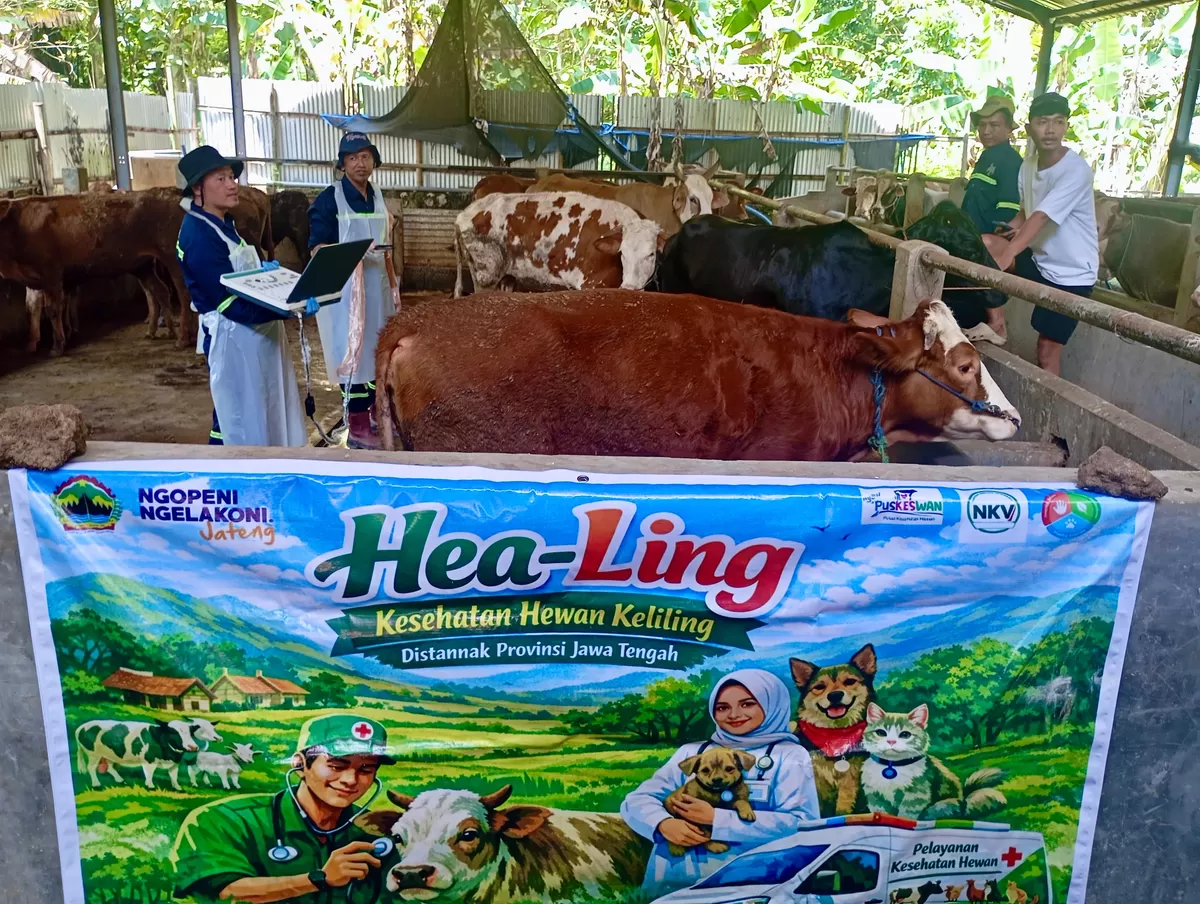 Jelang Iduladha, Jateng Pastikan Hewan Kurban Aman dan Sehat