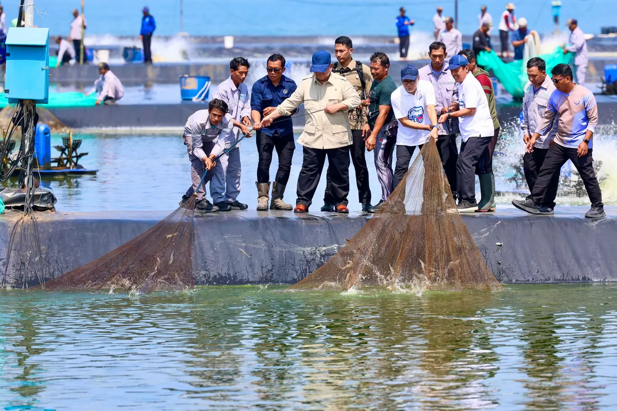 Presiden Apresiasi Tambak Udang Kebumen, Luthfi Dorong Ekonomi Biru