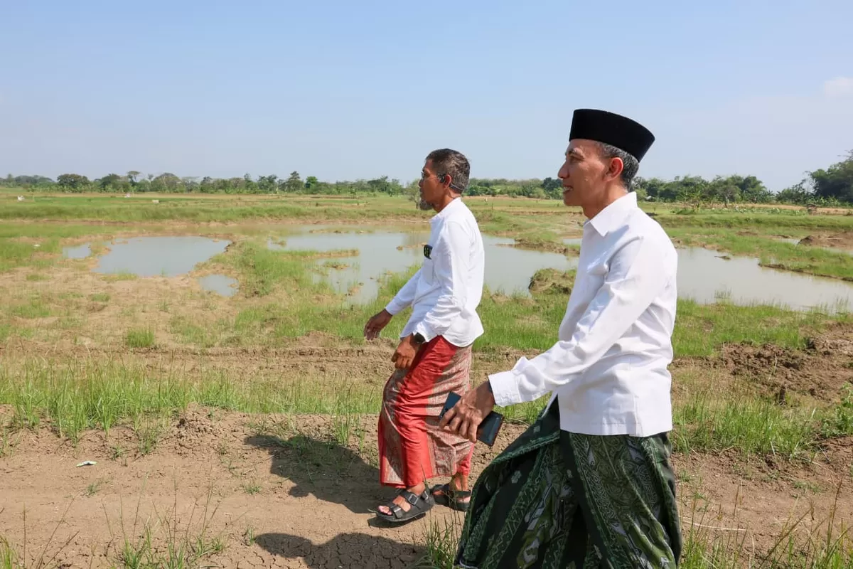 Sawah 1,5 Hektare Tertimbun Lumpur, Sekda Jateng Turun Tangan di Grobogan