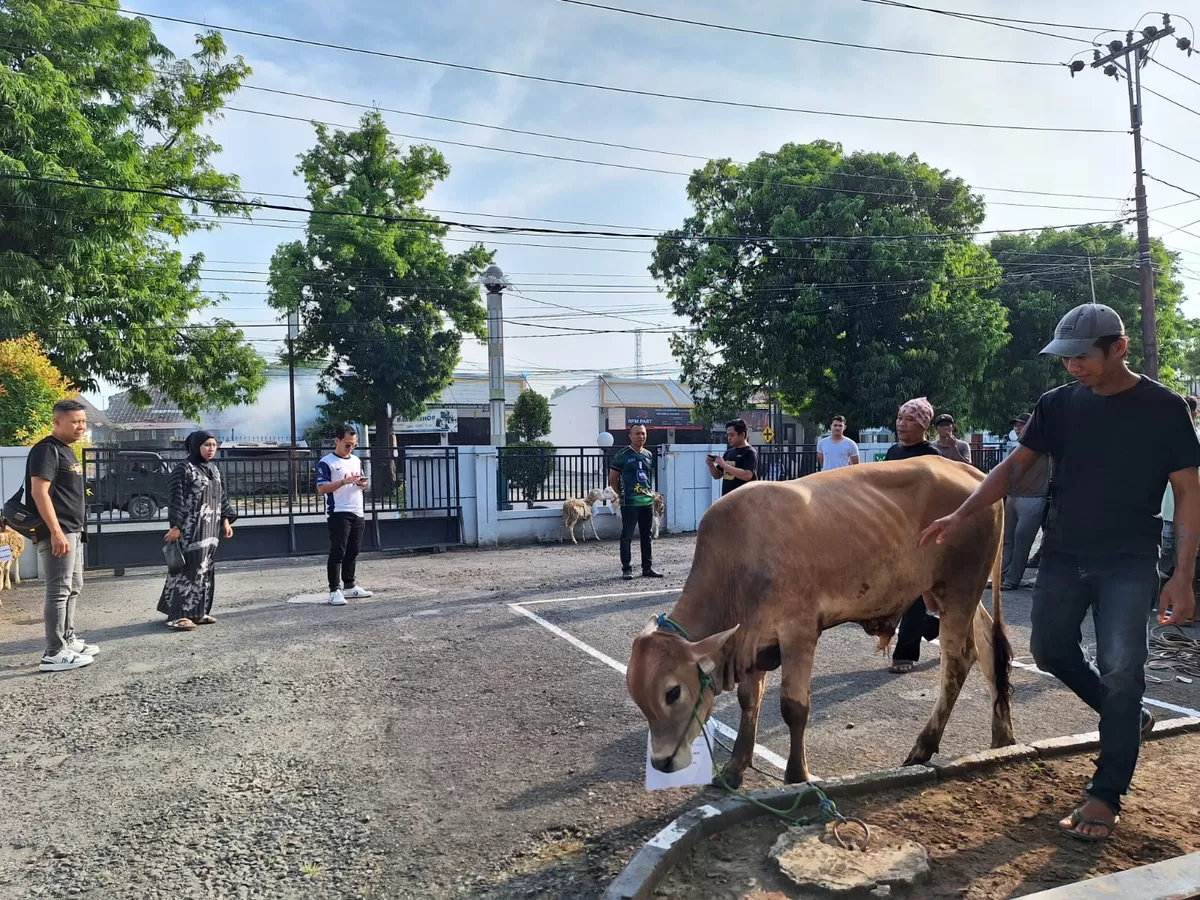 BRI Slawi Tebar Kepedulian Lewat Kurban, Salurkan Daging untuk Warga dan Pekerja Dasar Lingkungan