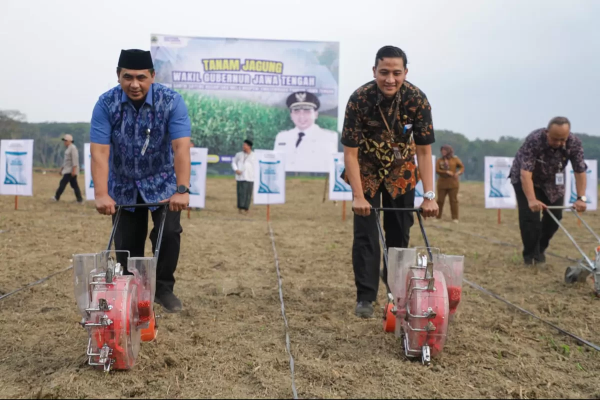 Dari Jagung hingga Wisata Religi, Lahan Tidur di Banjarnegara Dikembangkan Terpadu