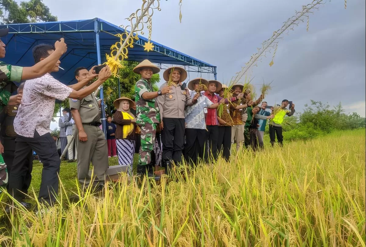 Pemerintah setempat dan masyarakat melakukan Tradisi Umbul Dungo Wiwit Pari (Istimewa for Pantura Network )