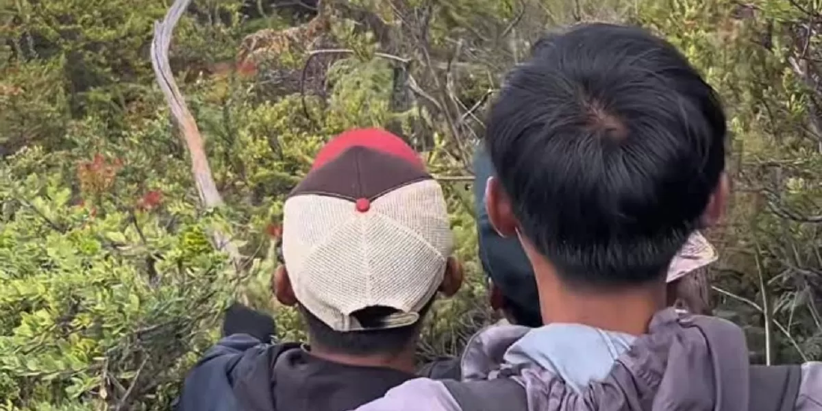 Menyoroti insiden pendaki Gunung Ijen, Banyuwangi yang sempat dilaporkan hilang kini ditemukan dalam kondisi selamat. (Instagram.com/@kawahijenbanyuwangi)