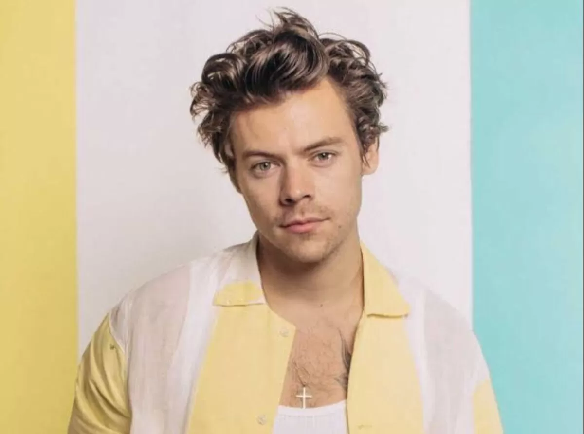 Harry Styles (Instagram/@harrystyles)