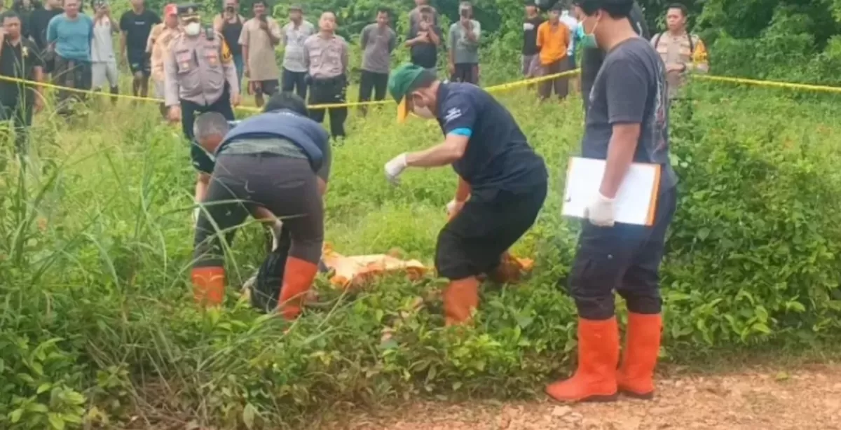 Tim Inafis Polres Subang bergerak cepat melakukan olah TKP penemuan mayat pria di perkebunan warga Desa Wantilan, Kecamatan Cipeundeuy, Kabupaten Subang, Jawa Barat, Sabtu 3 Januari 2026 (Dok. Istimewa)