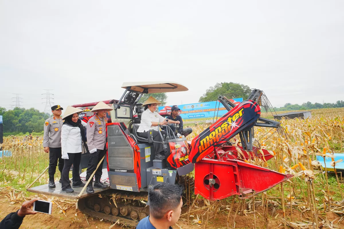 Kapolri Jenderal Polisi Listyo Sigit Prabowo bersama Ketua Komisi IV DPR RI Siti Hediati Hariyadi saat panen raya jagung di Kampung Tembong Gunung, Desa Sukamahi, Kecamatan Cikarang Pusat, Kabupaten Bekasi pada Kamis, 8 Januari 2025 (Dok. Istimewa)