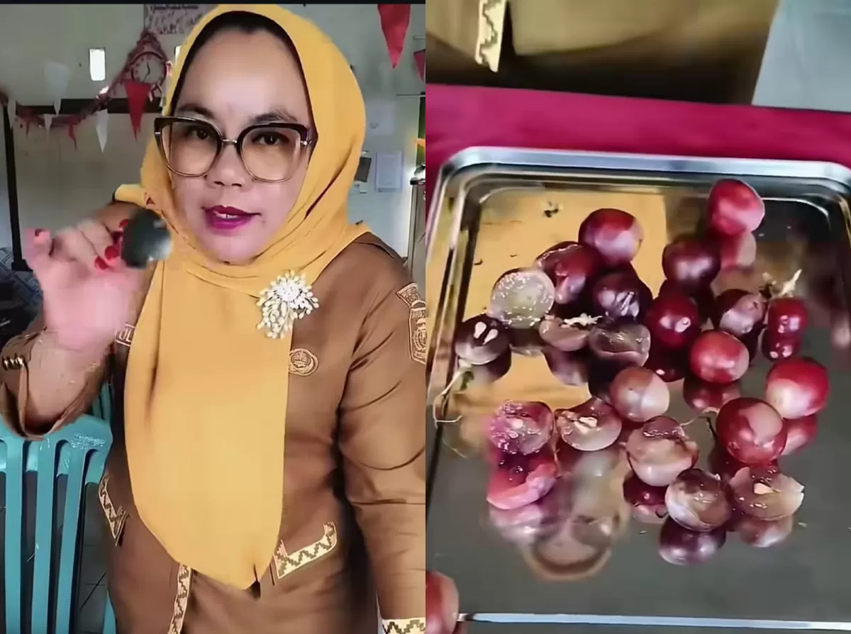 Viral Kepsek SDN 3 Sindang Sari Lampung Utara memprotes makanan MBG tak layak konsumsi (TikTok/kanjengida1408)