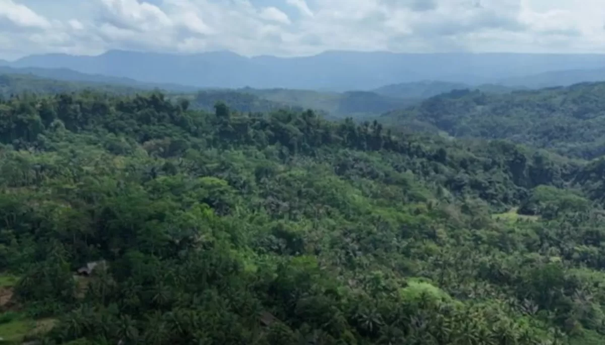 Ilustrasi kawasan hutan kompensasi (Laman resmi Kementerian LHK)