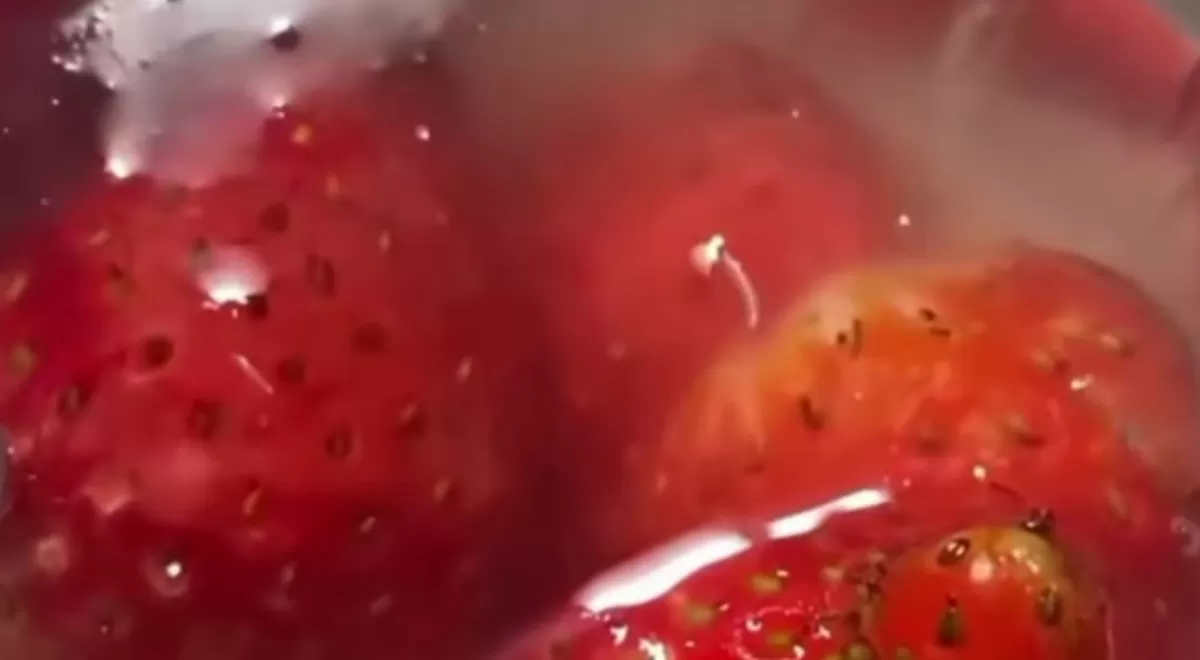 Menyoroti peristiwa viral temuan belatung dalam paket MBG berupa puding stroberi di Tulusrejo, Malang, Jawa Timur (Instagram.com/@infomalangraya_)