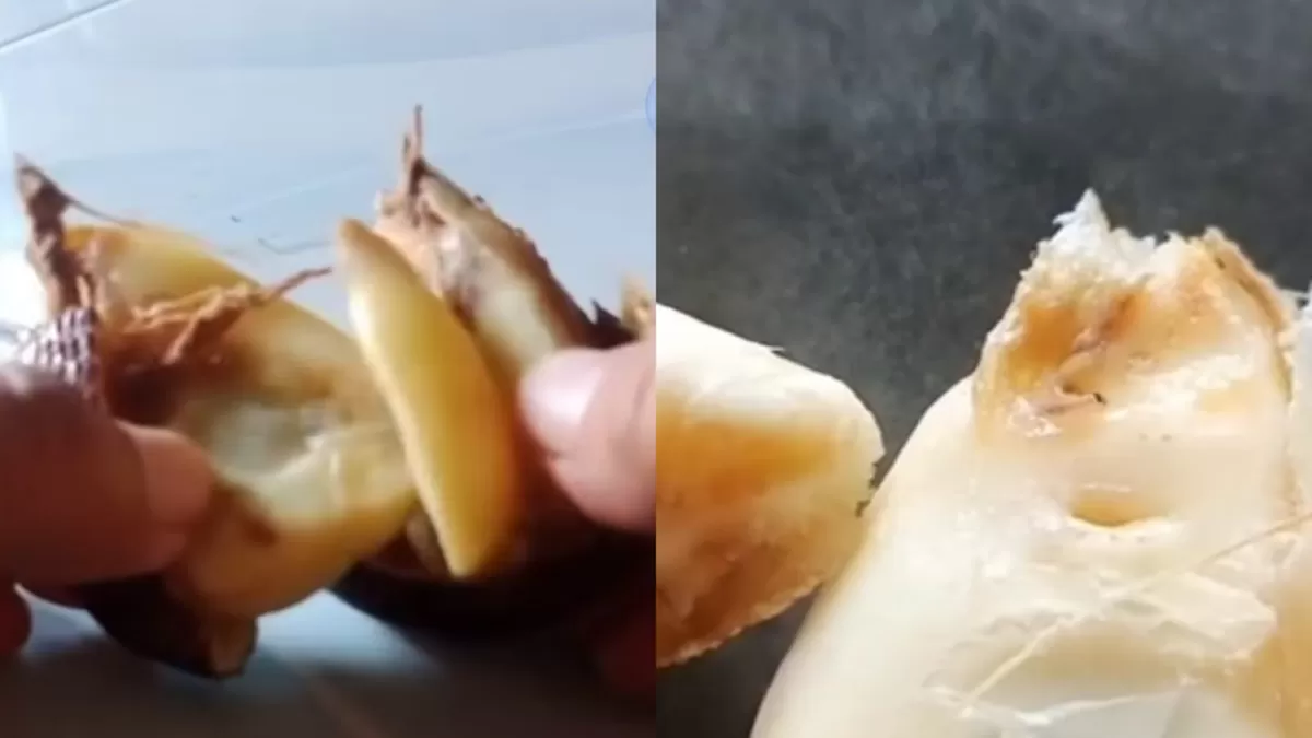 Temuan belatung di buah salak MBG di Pekalongan (Instagram/wiradesainfo)