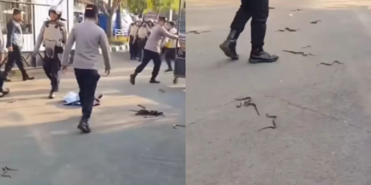 Menyoroti viralnya aksi unjuk rasa di kantor Bupati Indramayu, Lucky Hakim yang diwarnai pelemparan ular oleh massa (Instagram.com/@kualimerahputih)