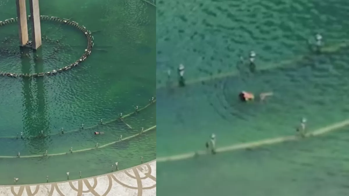 Video viral yang menunjukkan seorang pria berenang di kolam Bundaran HI (Threads/tequilaracer)
