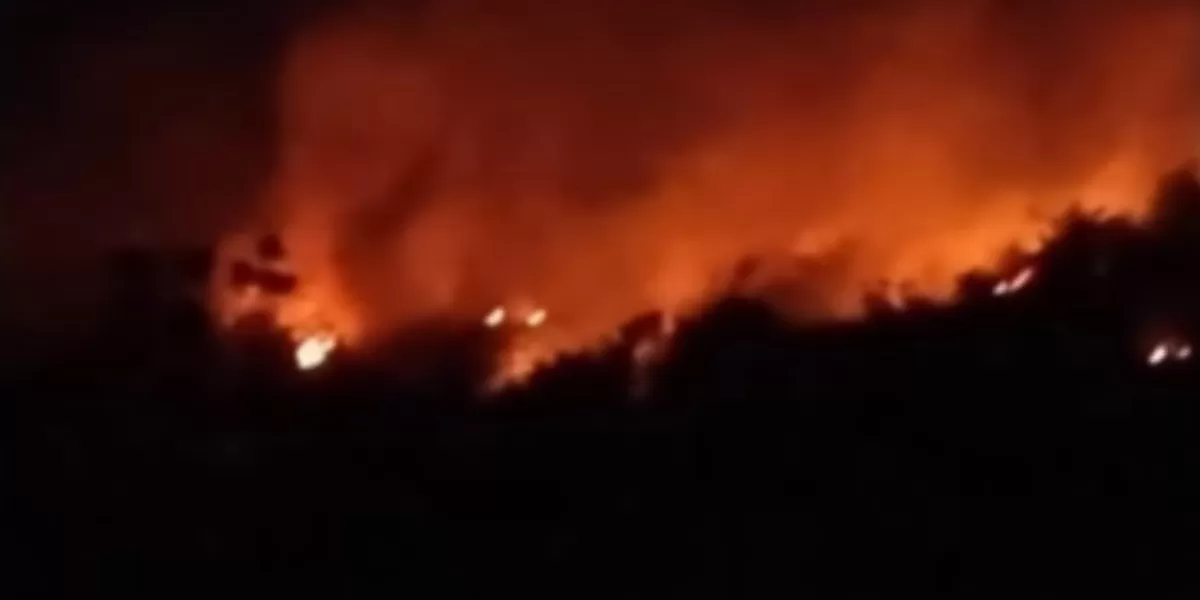 Menyoroti fakta di balik insiden karhutla yang dilaporkan melanda kawasan Gunung Geulis, Sukabumi, Jawa Barat (Instagram.com/@folksmi)