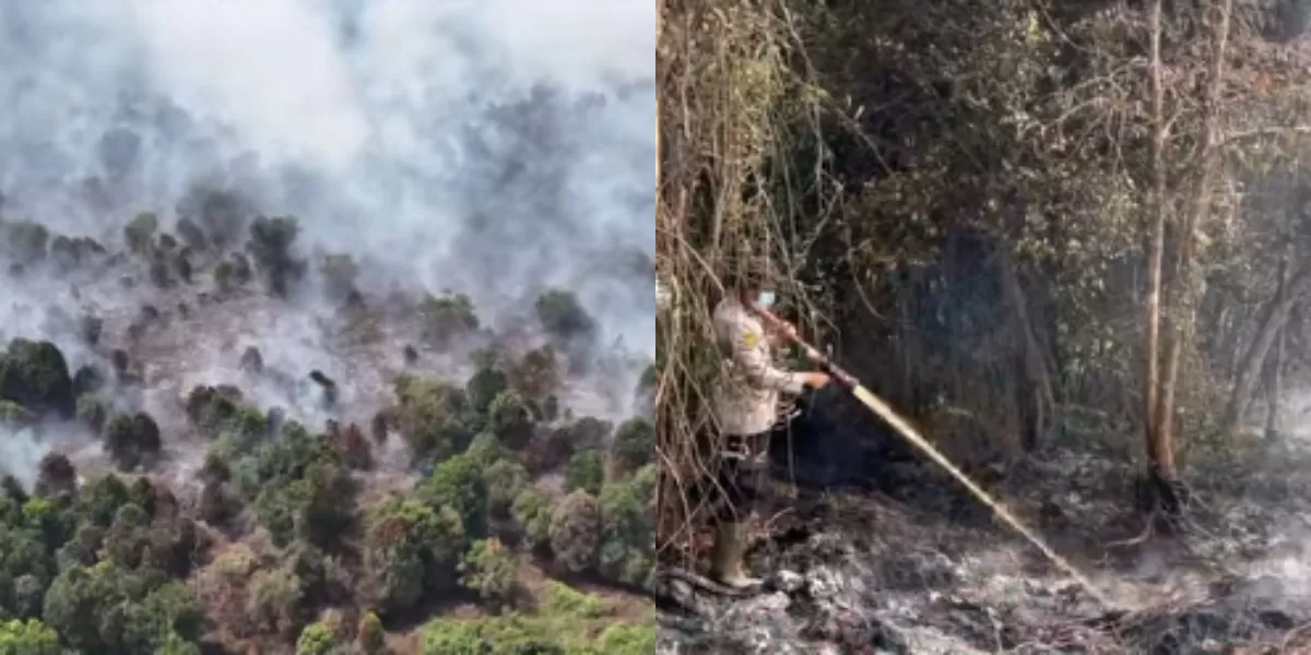 Menyoroti bencana kebakaran hutan dan lahan (karhutla) yang melanda wilayah Provinsi Riau hingga 40 orang ditetapkan sebagai tersangka (Instagram.com/@humaspolda_riau)