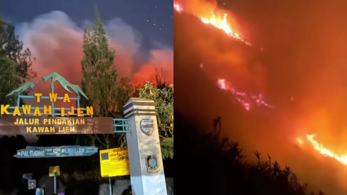 Kebakaran hutan dan lahan terjadi di kawasan Cagar Alam Kawah Ijen, Jawa Timur (Threads/ronron_hakunamatata)