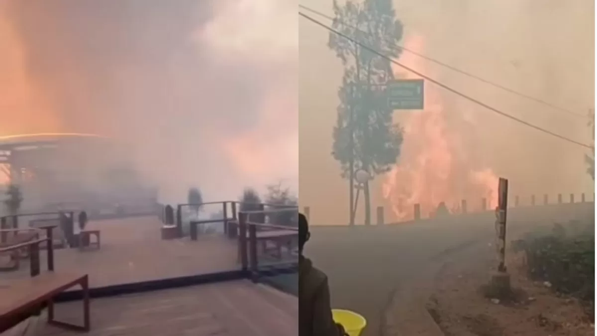 Kebakaran terjadi di kawasan Gunung Bromo makin meluas hingga membuat kepanikan sampai ke area Bromo Hillside (Threads/berryminor)
