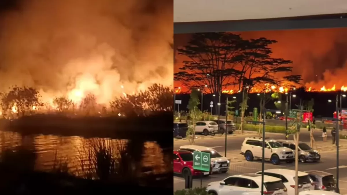 Kebakaran terjadi di lahan kosong samping Mall 23 Kota Semarang, Jawa Tengah (Instagram/kissmiarso - Threads/angelhw3)