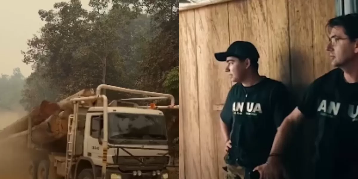 Menyoroti penuturan aktivis lingkungan, Andrew Kalaweit ihwal ironi karhutla di Kalimantan beriringan dengan dugaan pembalakan liar (Instagram.com/@andrewkalaweit)