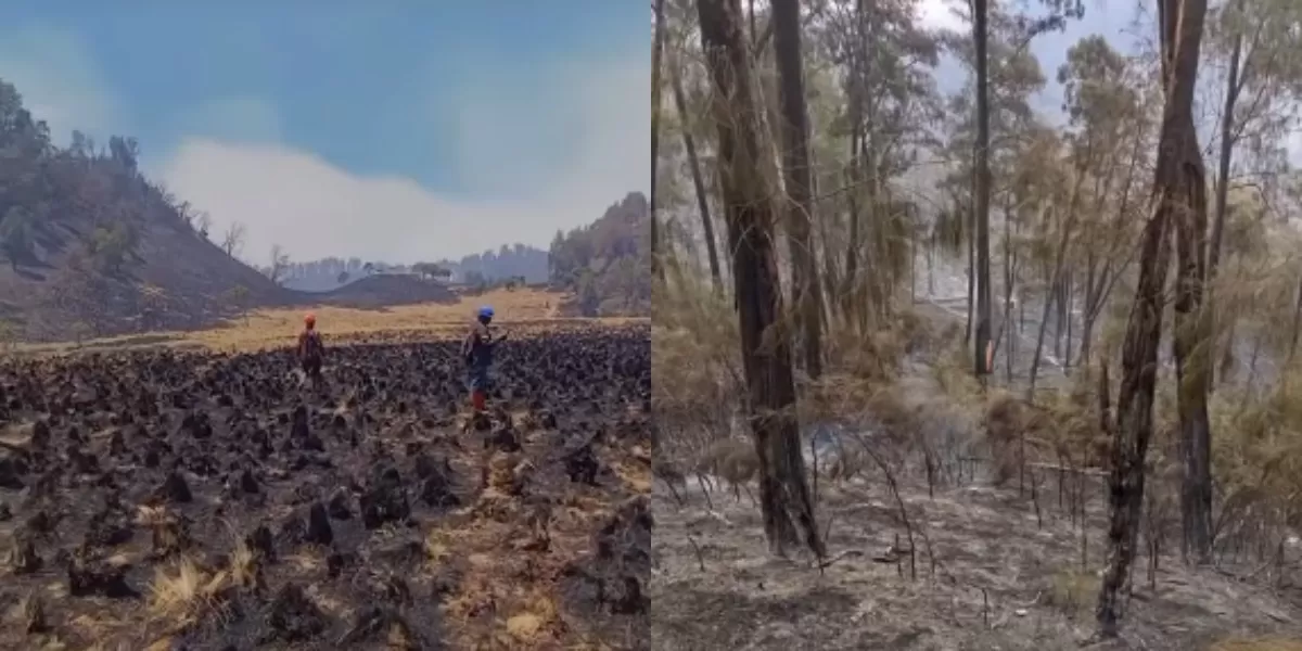 Menyoroti kebakaran hutan dan lahan (karhutla) yang terjadi di Gunung Buthak dan Gunung Kawinajang di wilayah Jawa Timur (Instagram.com/@amazingmalang)
