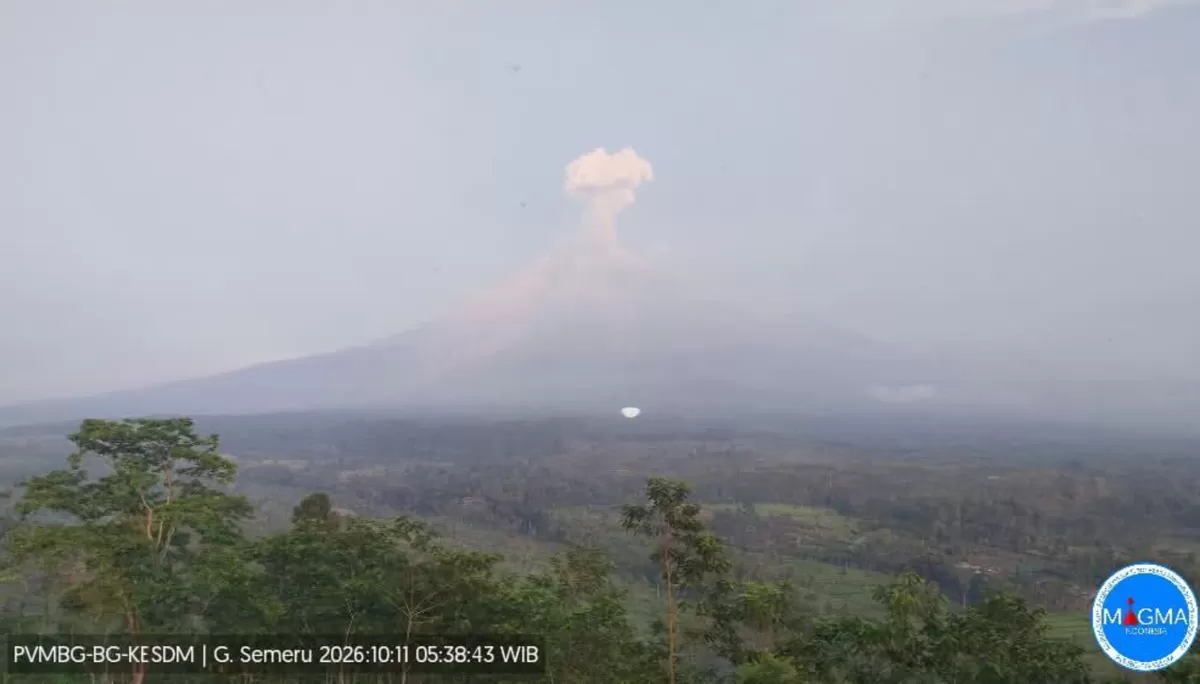 Kolom abu Gunung Semeru terpantau membubung saat terjadi erupsi di Jawa Timur pada Minggu 11 Oktober 2026 (Tangkapan layar Threads @infogempa)
