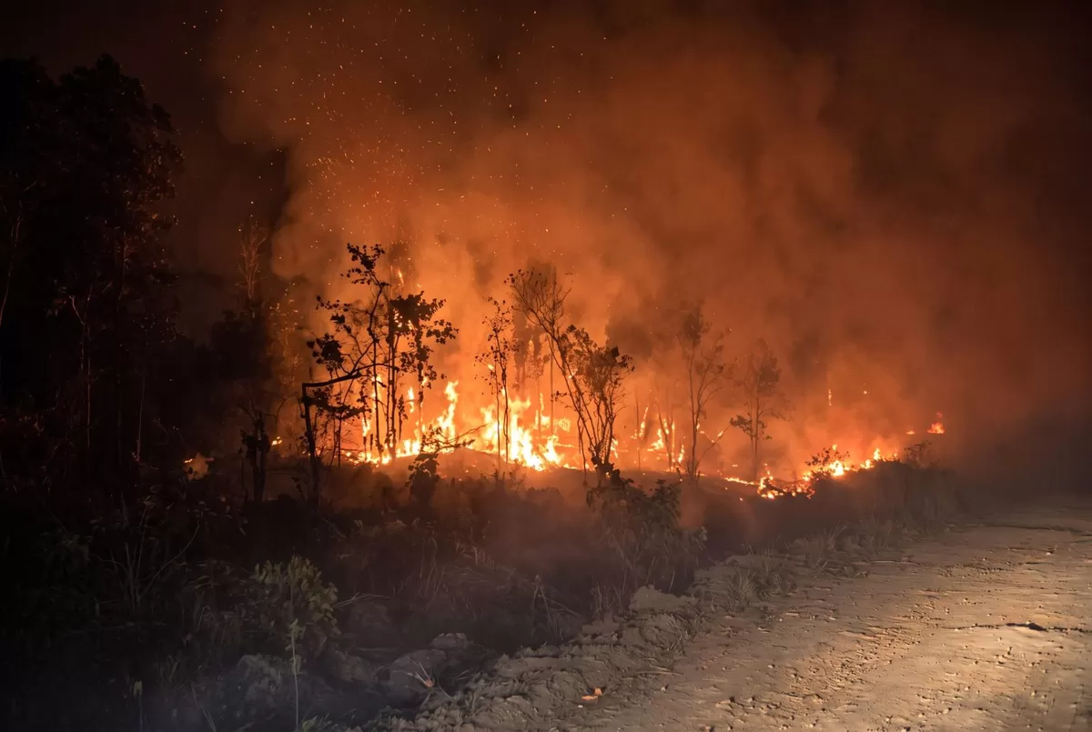 Kondisi salah satu titik api karhutla di Papua yang mengancam hutan dan ruang hidup masyarakat, di tengah upaya warga menjaga lingkungan (Threads/@helinaola)
