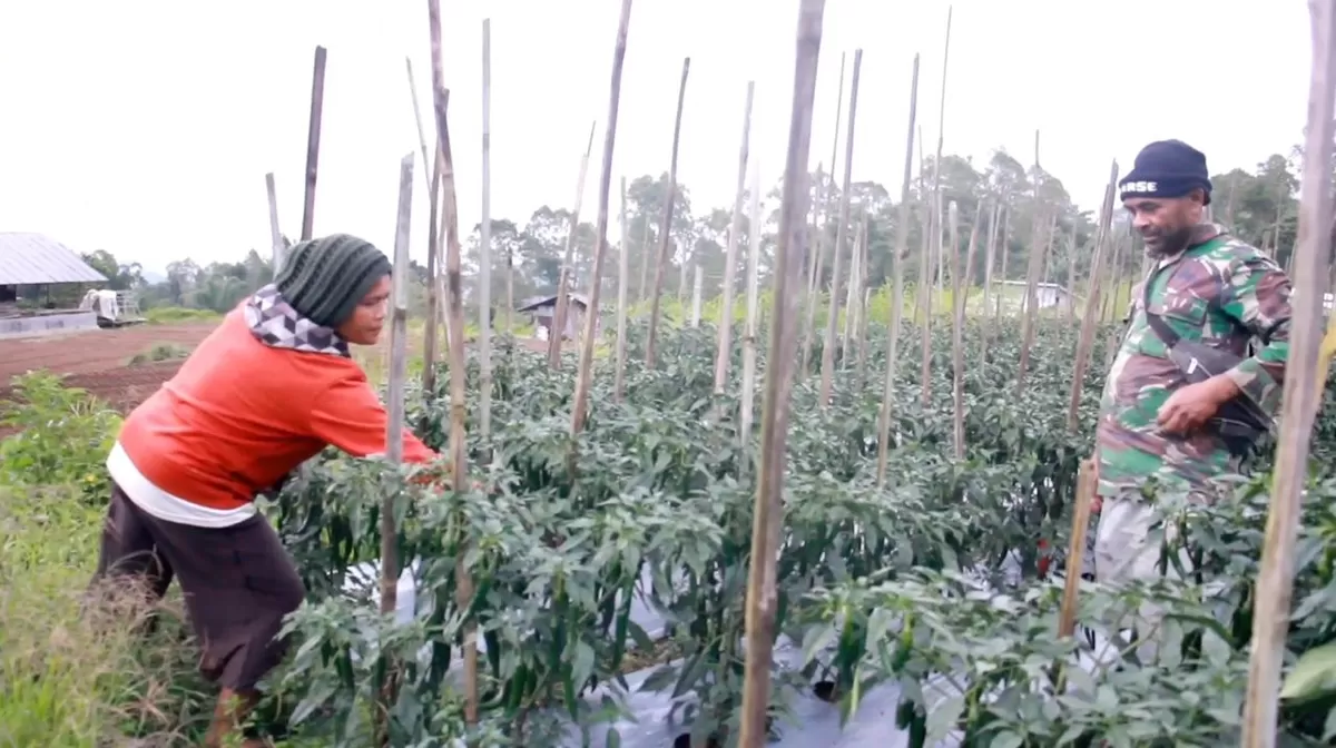 Petani dari Kelurahan Bangka Leda, Kecamatan Langke Rembong. (Dok. Promedia)