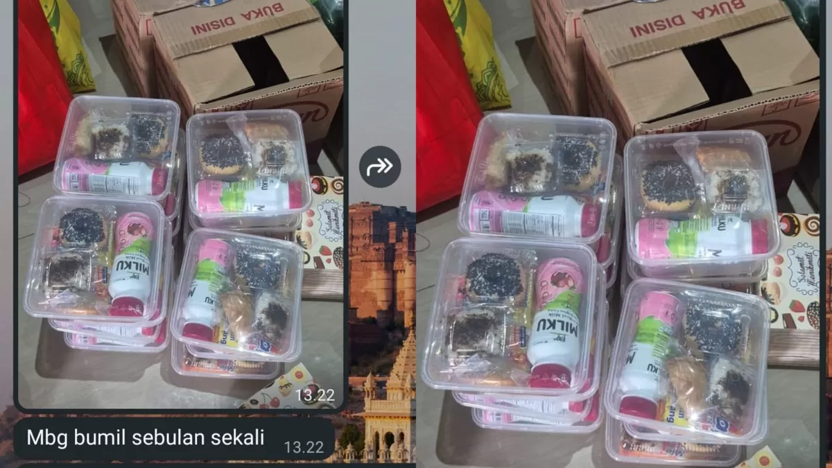 Menu MBG untuk ibu hamil yang tengah viral di media sosial (X/Oskar_Odding)