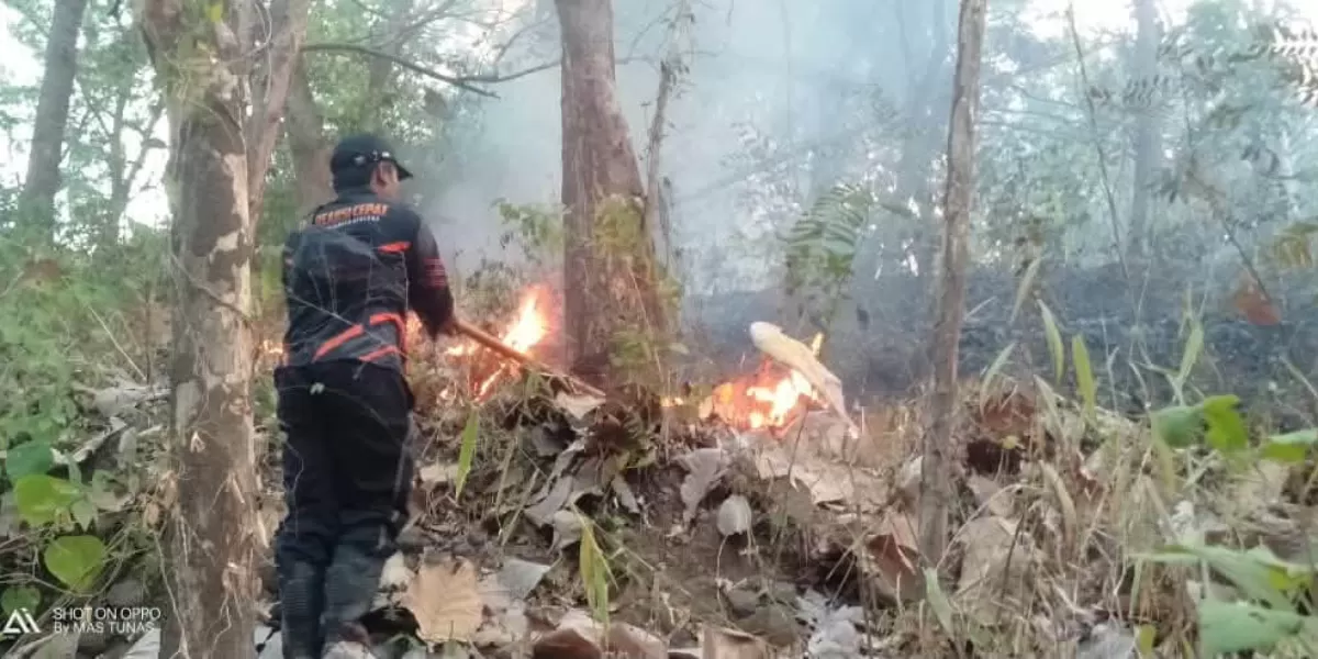 Kementerian Kehutanan (Kemenhut) meminta penangangan karhutla di Banjarbaru Kalimantan Selatan dilanjut dengan kajian pascapemadaman. (BNPB)